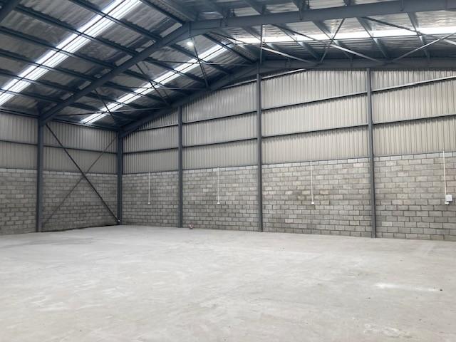 To Let Commercial Property for Rent in Newton Park Eastern Cape